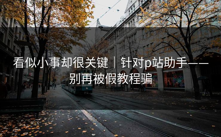 看似小事却很关键｜针对p站助手——别再被假教程骗