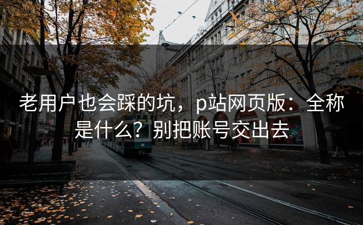 老用户也会踩的坑，p站网页版：全称是什么？别把账号交出去