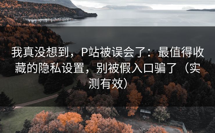 我真没想到，P站被误会了：最值得收藏的隐私设置，别被假入口骗了（实测有效）