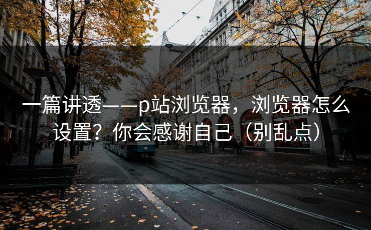 一篇讲透——p站浏览器，浏览器怎么设置？你会感谢自己（别乱点）