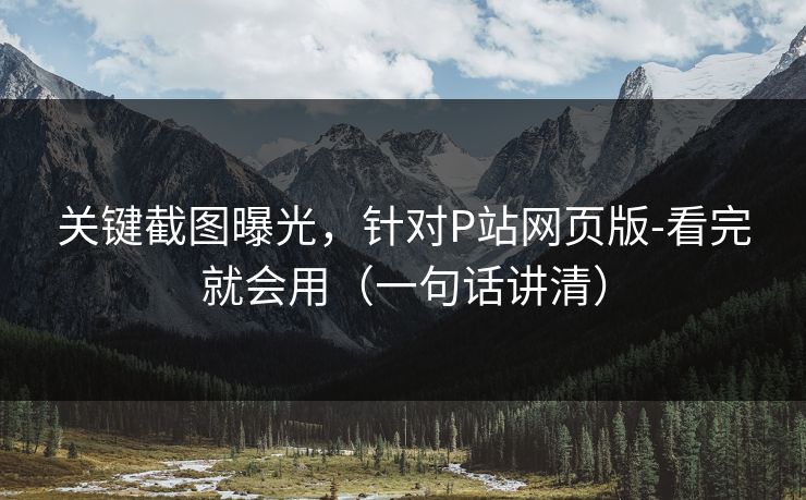 关键截图曝光，针对P站网页版-看完就会用（一句话讲清）