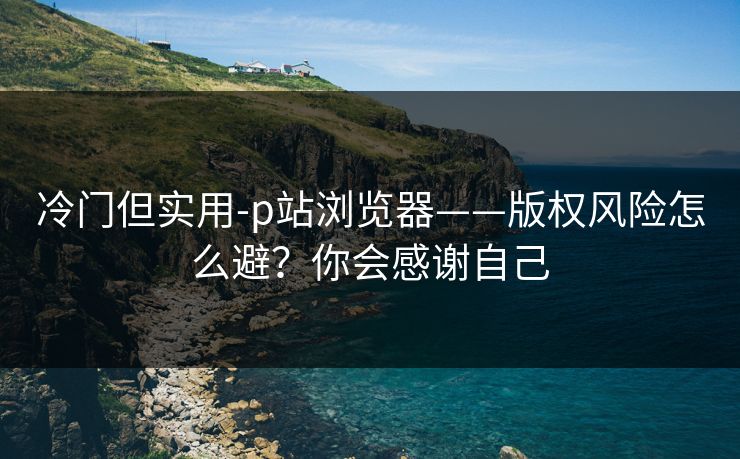 冷门但实用-p站浏览器——版权风险怎么避?你会感谢自己 冷门但实用-p站浏览器——版权风险怎么避?你会感谢自己