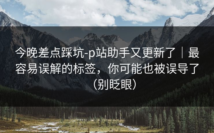 今晚差点踩坑-p站助手又更新了｜最容易误解的标签，你可能也被误导了（别眨眼）