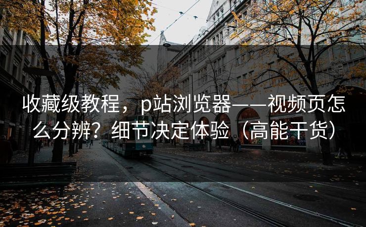 收藏级教程，p站浏览器——视频页怎么分辨？细节决定体验（高能干货）
