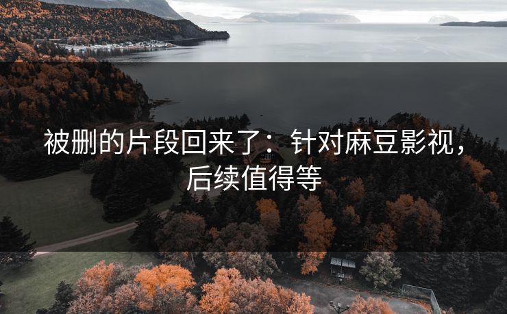 被删的片段回来了：针对麻豆影视，后续值得等