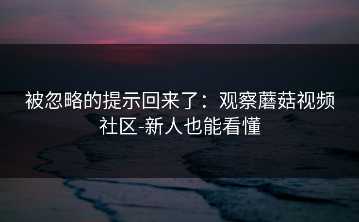 被忽略的提示回来了：观察蘑菇视频社区-新人也能看懂