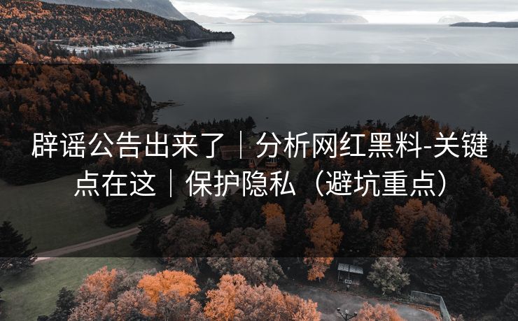 辟谣公告出来了｜分析网红黑料-关键点在这｜保护隐私（避坑重点）