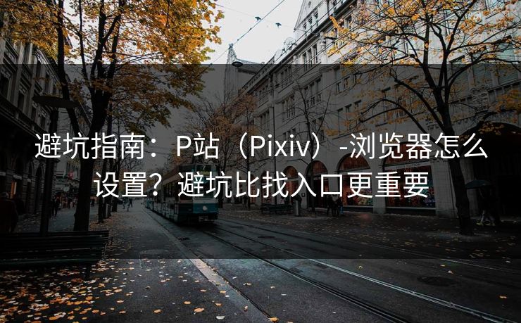 避坑指南：P站（Pixiv）-浏览器怎么设置？避坑比找入口更重要