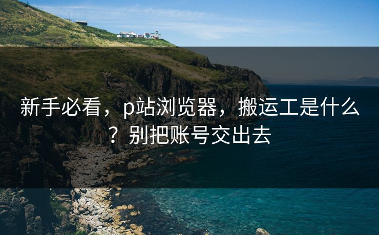 新手必看，p站浏览器，搬运工是什么？别把账号交出去