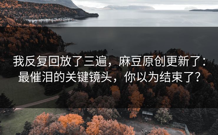 我反复回放了三遍，麻豆原创更新了：最催泪的关键镜头，你以为结束了？