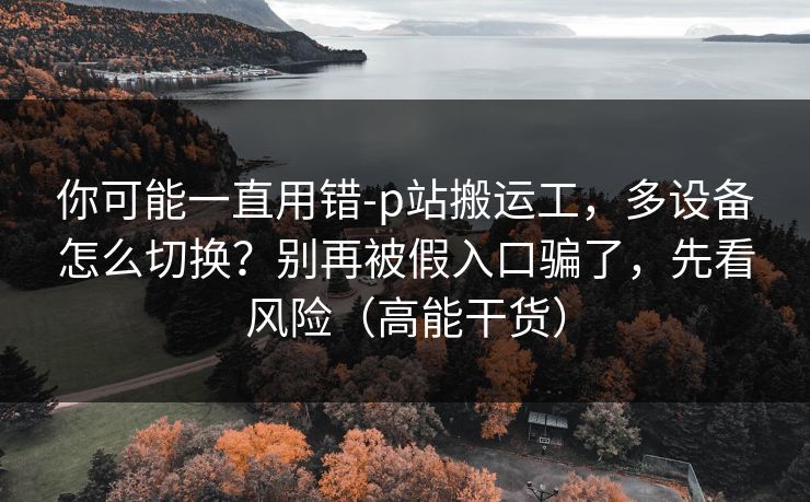 你可能一直用错-p站搬运工,多设备怎么切换?别再被假入口骗了,先看风险(高能干货) 你可能一直用错-p站搬运工,多设备怎么切换?别再被假入口骗了,先看风险(高能干货)