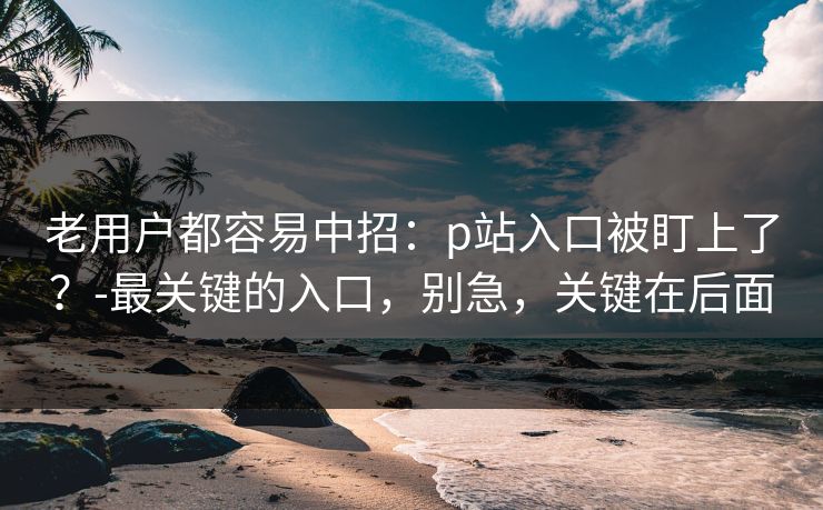 老用户都容易中招:p站入口被盯上了?-最关键的入口,别急,关键在后面 老用户都容易中招:p站入口被盯上了?-最关键的入口,别急,关键在后面