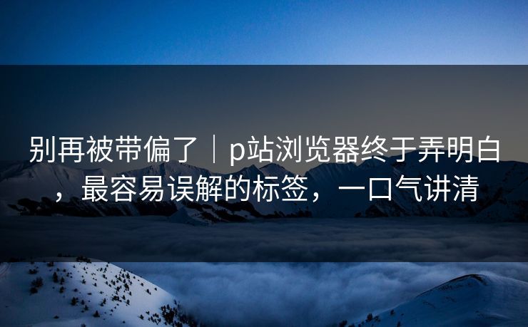 别再被带偏了｜p站浏览器终于弄明白，最容易误解的标签，一口气讲清