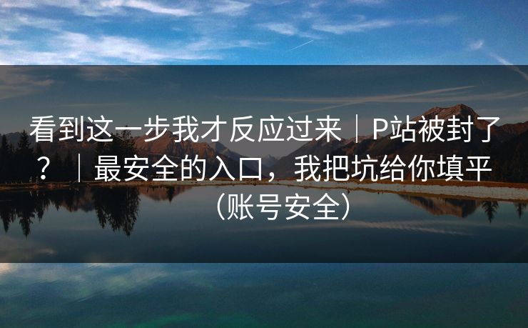 看到这一步我才反应过来|P站被封了?|最安全的入口,我把坑给你填平(账号安全) 看到这一步我才反应过来|P站被封了?|最安全的入口,我把坑给你填平(账号安全)